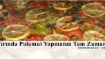 Fırında Palamut Tarifi
