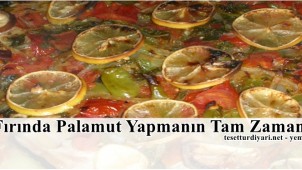 Fırında Palamut Tarifi